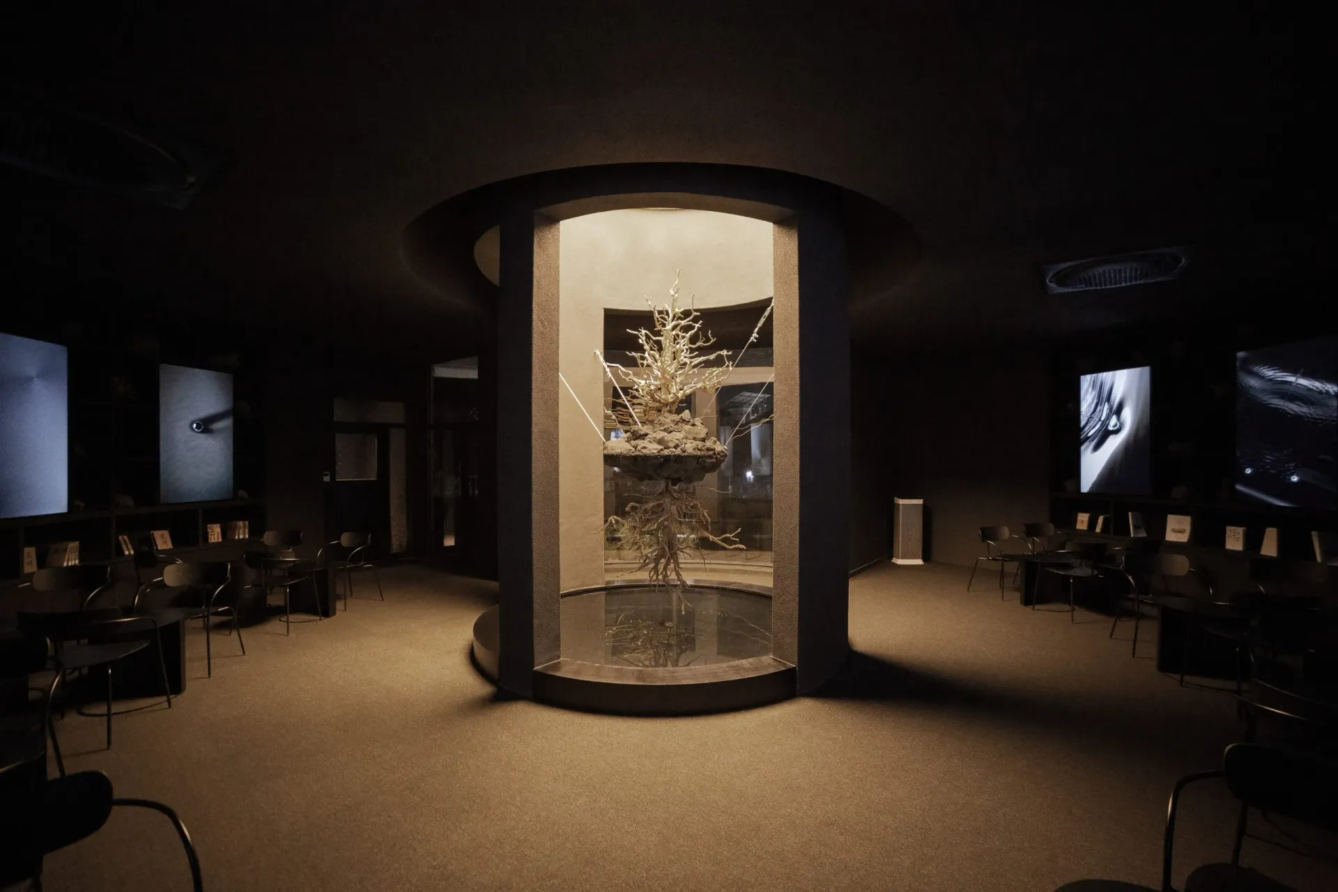 Wonju City Project 4