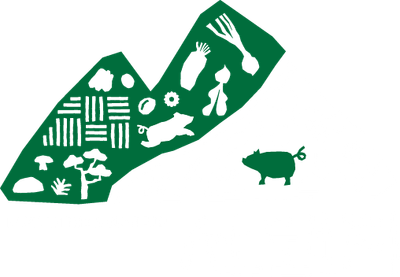 Mountain Pig logo